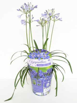 pxl_20250705_080457522_480x640